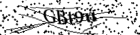 Por favor, escriba las letras y los números siguientes