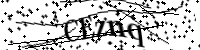 Por favor, escriba las letras y los números siguientes