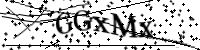 Por favor, escriba las letras y los números siguientes