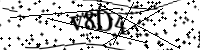 Por favor, escriba las letras y los números siguientes