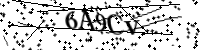 Por favor, escriba las letras y los números siguientes