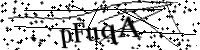 Por favor, escriba las letras y los números siguientes